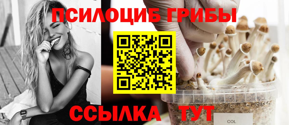 Иваново  Галлюциногенные грибы GOLDEN TEACHER  Вход с VPN  Галлюциногенные грибы GOLDEN TEACHER 