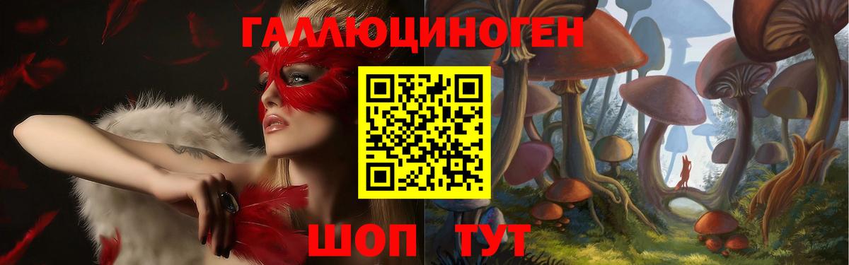 Псилоцибиновые грибы Psilocybe  где продают наркотики  Иваново 